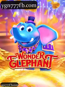 WonderElephant